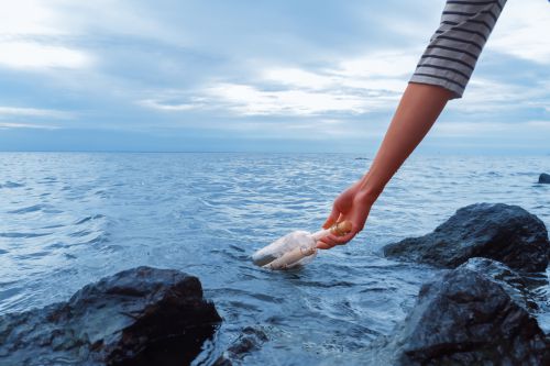 Cantine / Halle de fête